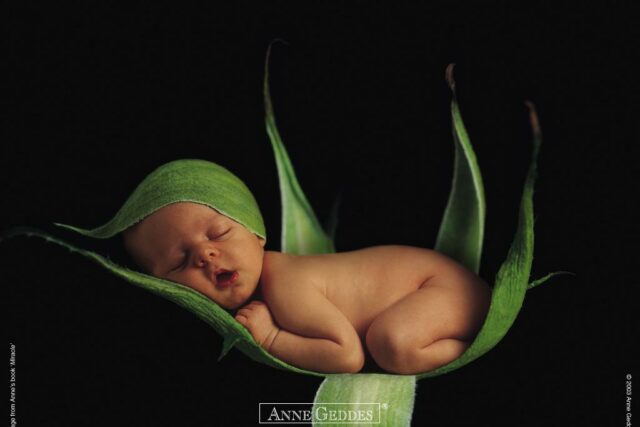 %name Fotografia por ANNE GUEDES 1