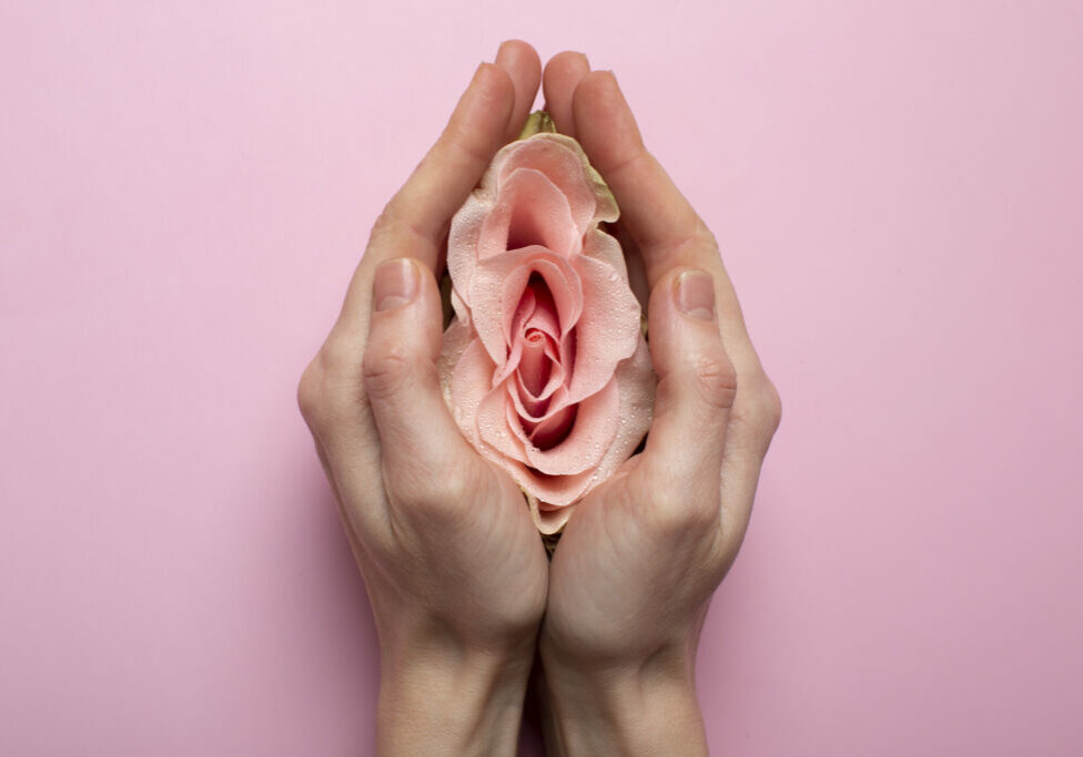 mulher-segurando-rosa-nas-maos-para-visualizacao-do-sistema-reprodutivo